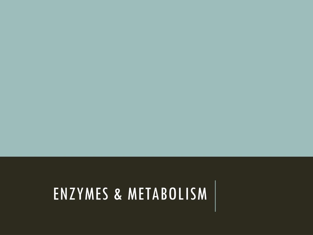 enzymes metabolism