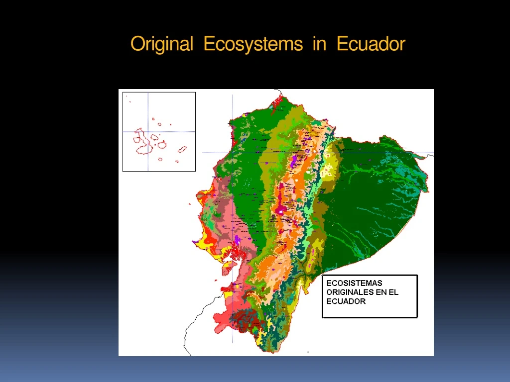 original ecosystems in ecuador