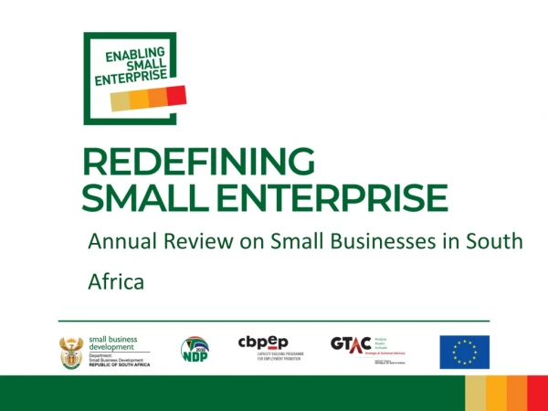 Annual Review on Small Businesses in South Africa
