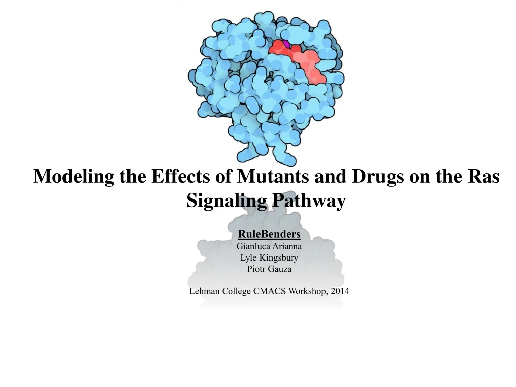 modeling the effects of mutants and drugs on the ras signaling pathway