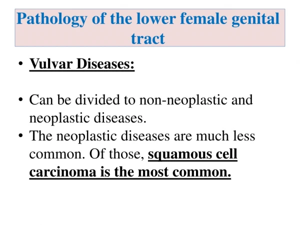 Pathology of the lower female genital tract