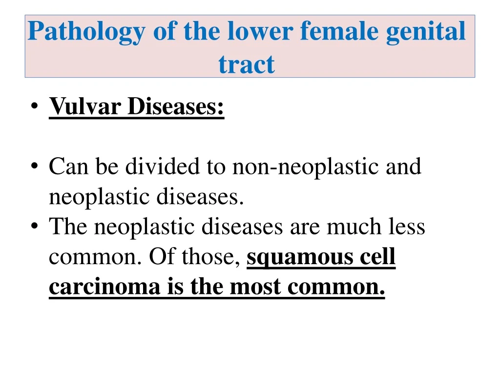 pathology of the lower female genital tract