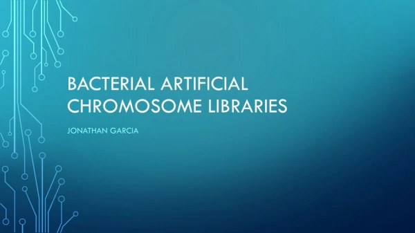 Bacterial Artificial Chromosome Libraries