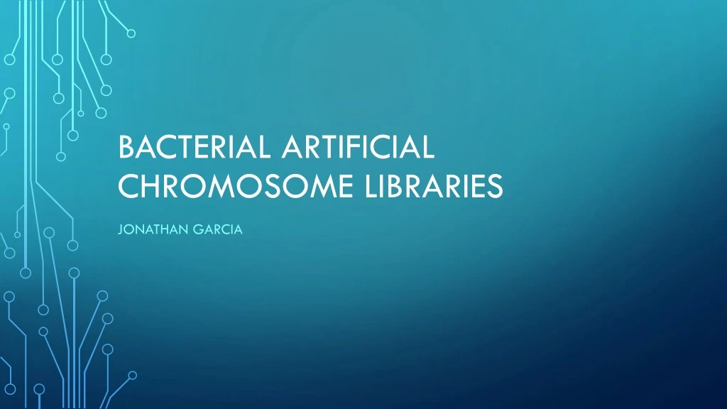 bacterial artificial chromosome libraries