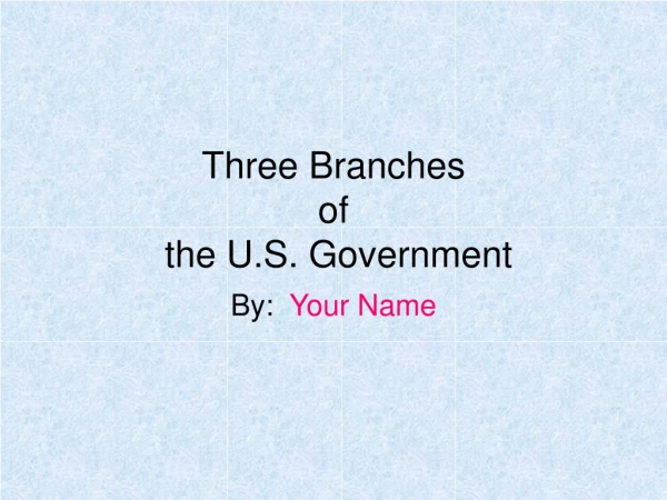 Three Branches of the U.S. Government