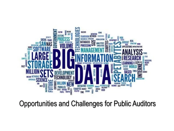 Opportunities and Challenges for Public Auditors
