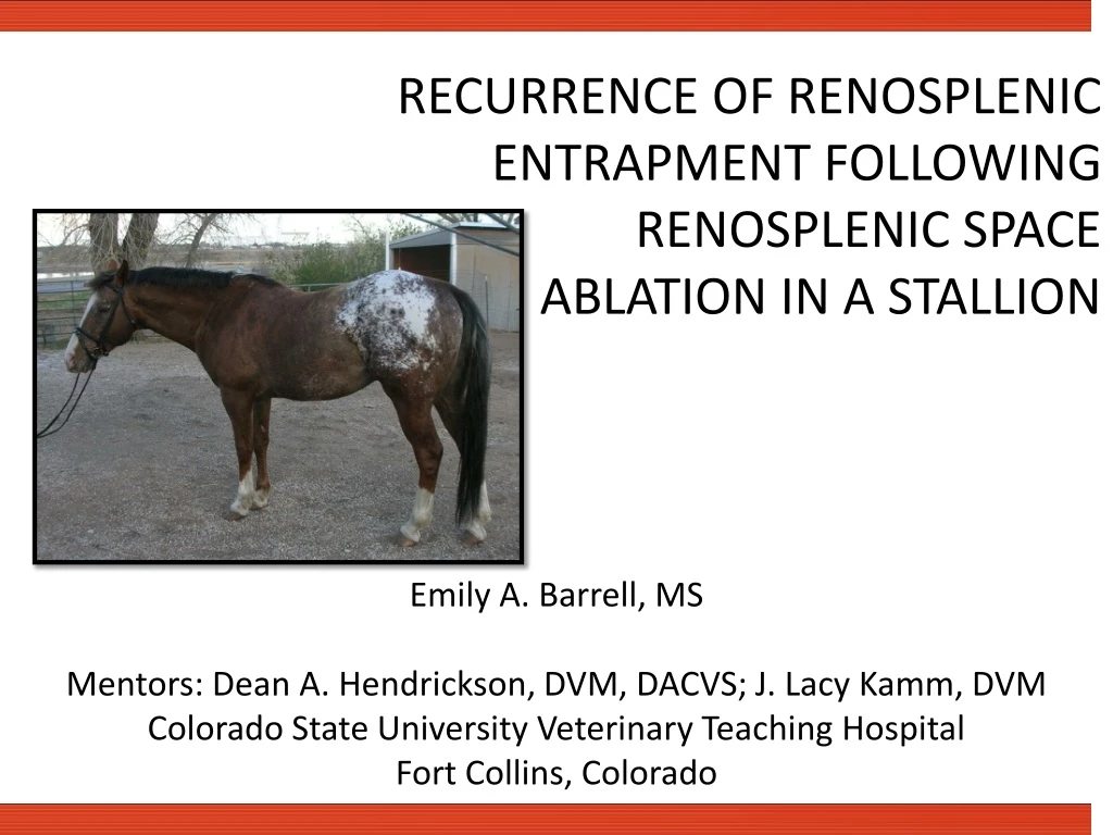 recurrence of renosplenic entrapment following