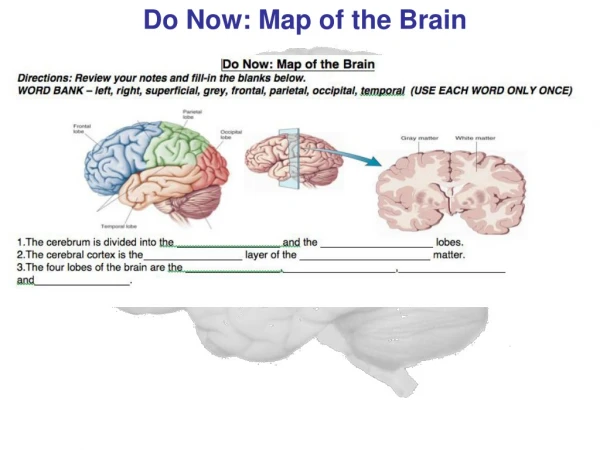 Do Now: Map of the Brain
