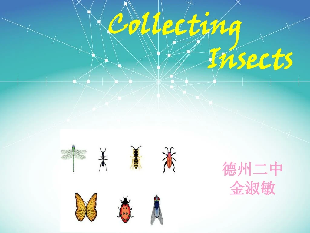 collecting insects