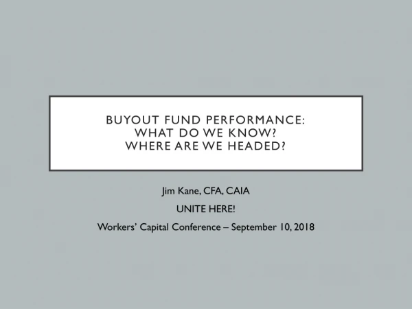 Buyout fund performance: what do we know? Where are we headed?