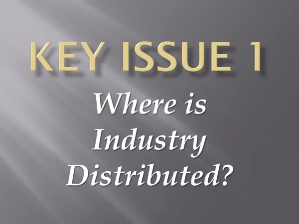 Key issue 1