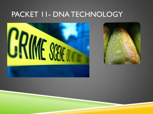 Packet 11- DNA Technology