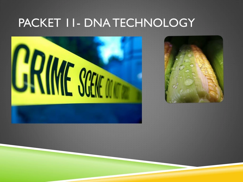 packet 11 dna technology