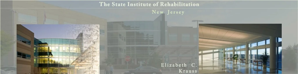 the state institute of rehabilitation