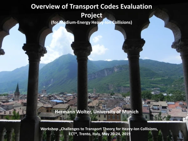 Overview of Transport Codes Evaluation Project (for Medium-Energy Heavy-Ion Collisions)