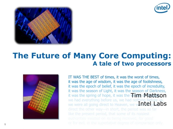 The Future of Many Core Computing: A tale of two processors