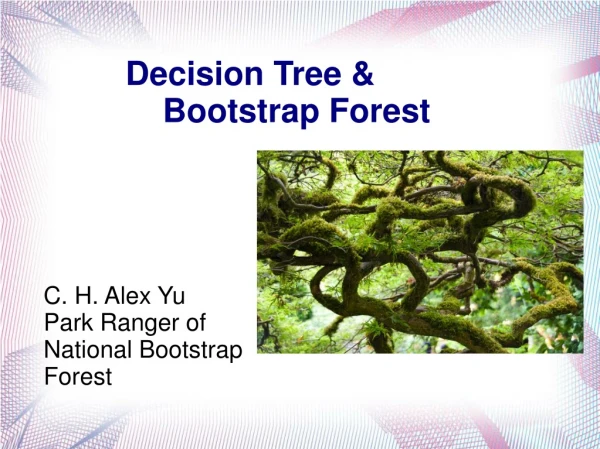 Decision Tree &amp; Bootstrap Forest