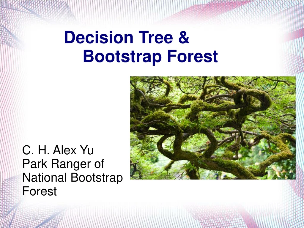 c h alex yu park ranger of national bootstrap forest