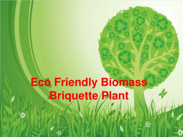 Eco Friendly Biomass Briquette Plant