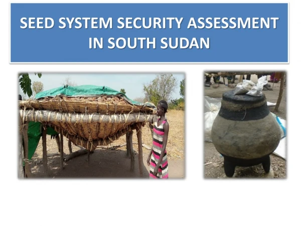SEED SYSTEM SECURITY ASSESSMENT IN SOUTH SUDAN