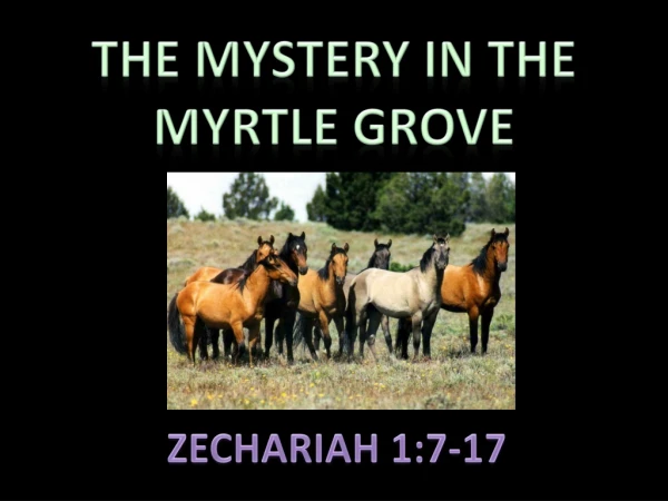 THE MYSTERY IN THE MYRTLE GROVE