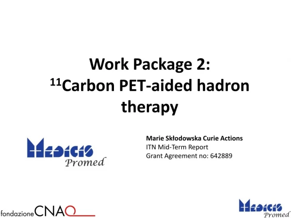 Work Package 2: 
 11 Carbon PET-aided hadron therapy
