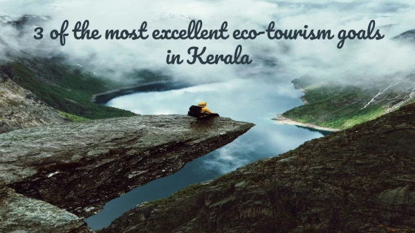 3 of the most excellent eco-tourism goals in Kerala