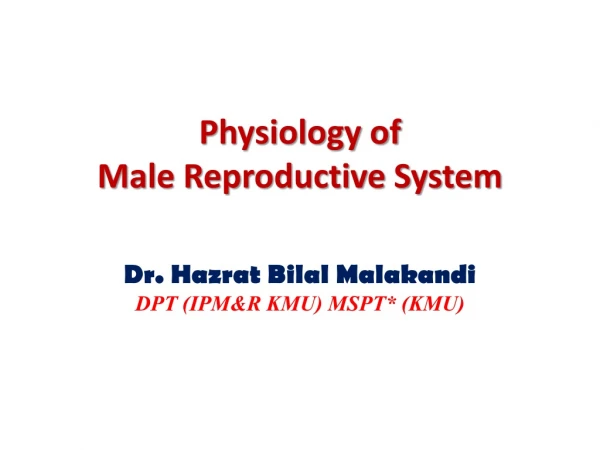 Physiology of Male Reproductive System