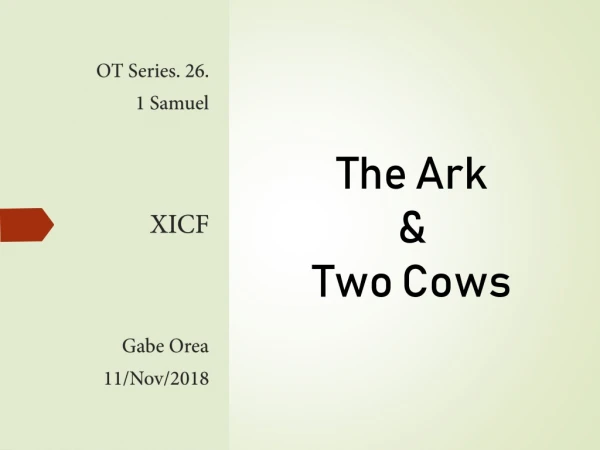 The Ark &amp; Two Cows