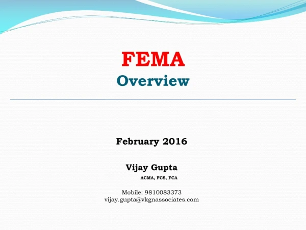 FEMA Overview