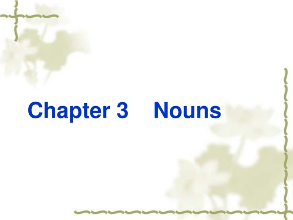 Chapter 3 Nouns