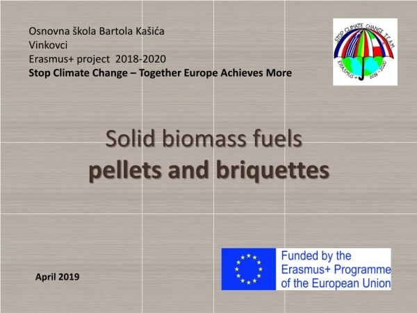 Solid biomass fuels pellets and briquettes