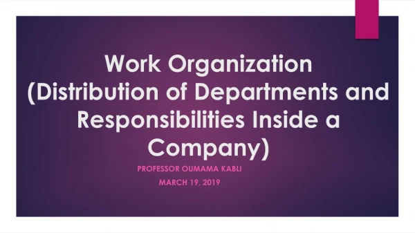 Work Organization (Distribution of Departments and Responsibilities Inside a Company)