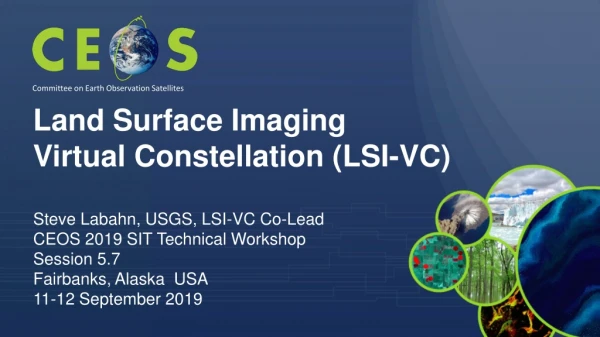 Steve Labahn, USGS, LSI-VC Co-Lead CEOS 2019 SIT Technical Workshop Session 5.7