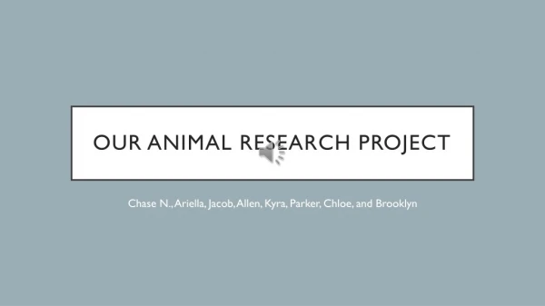 Our Animal Research Project