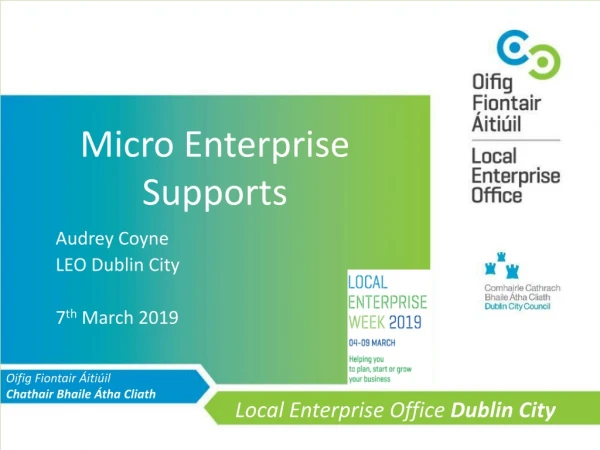 Micro Enterprise Supports
