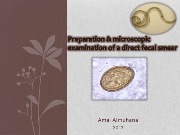 Preparation &amp; microscopic examination of a direct fecal smear