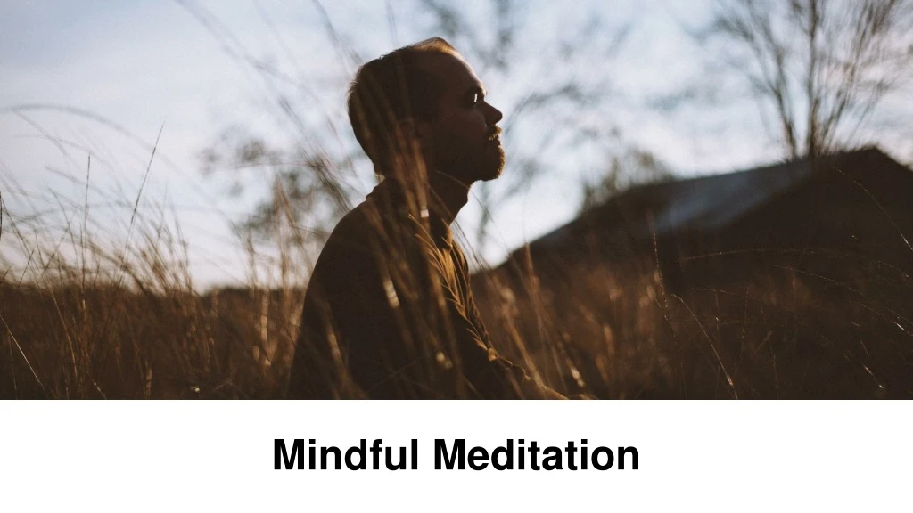 mindful meditation