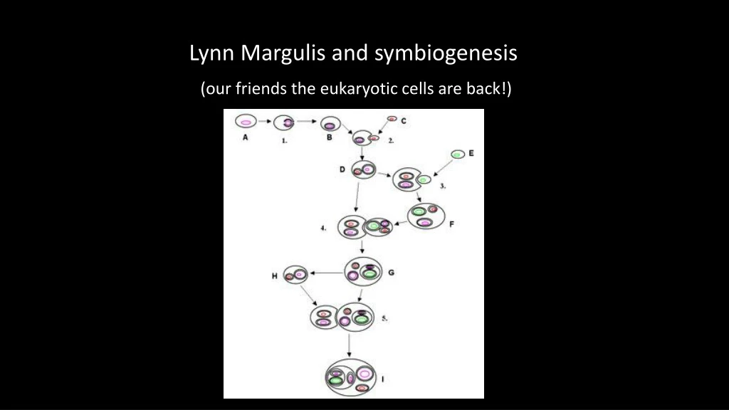 lynn margulis and symbiogenesis our friends the eukaryotic cells are back