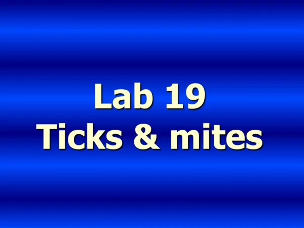 Lab 19 Ticks &amp; mites