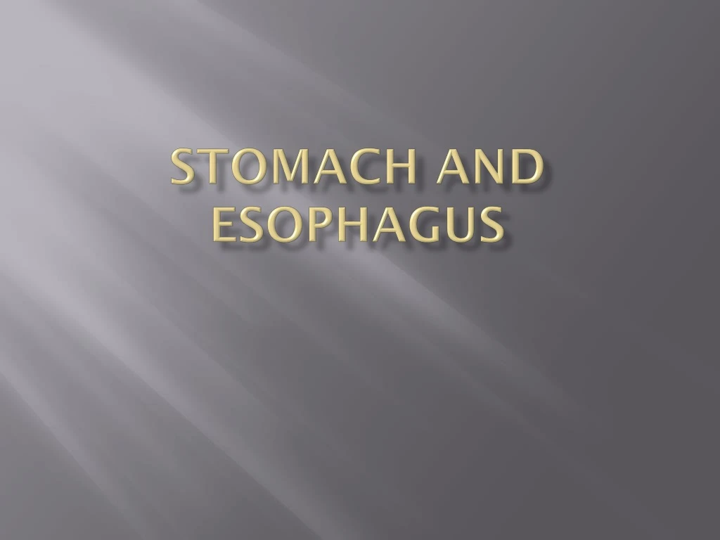 stomach and esophagus