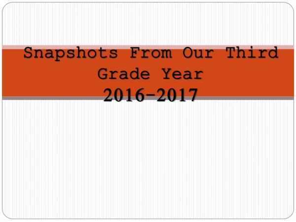 Snapshots From Our Third Grade Year 2016-2017