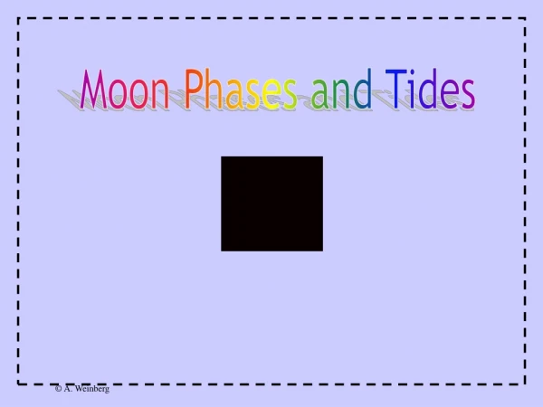 Moon Phases and Tides