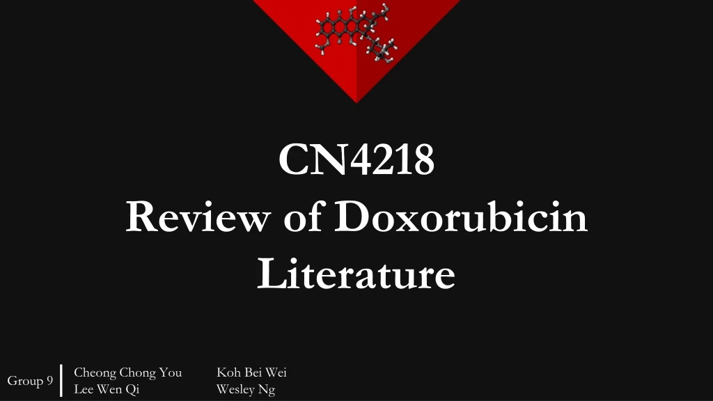 cn4218 review of doxorubicin literature