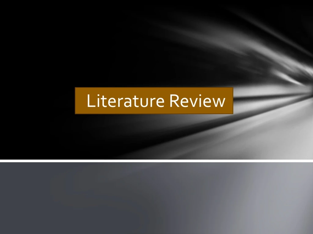 literature review