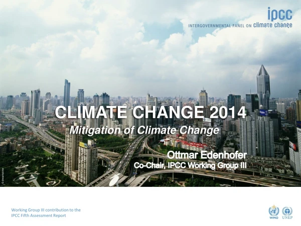 Ottmar Edenhofer Co-Chair, IPCC Working Group III