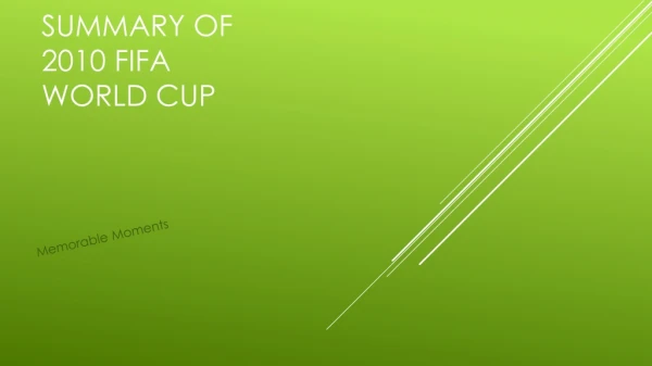 Summary of 2010 Fifa World Cup