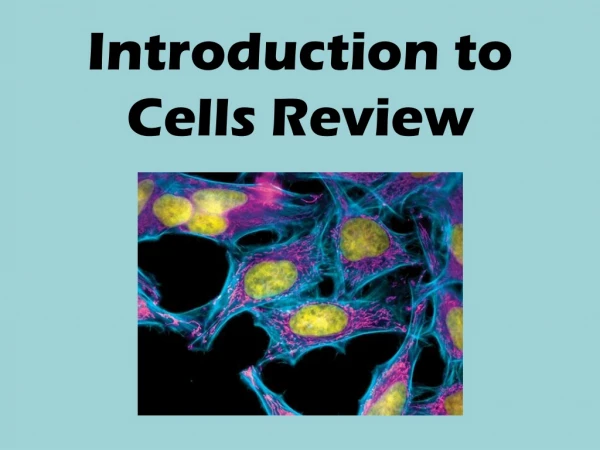 Introduction to Cells Review
