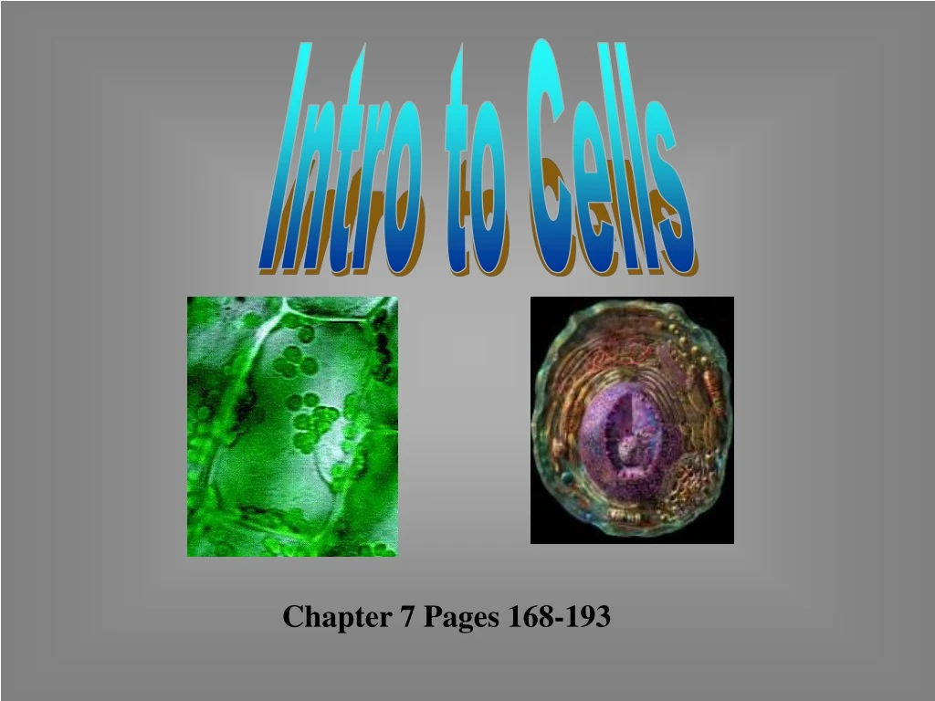 intro to cells