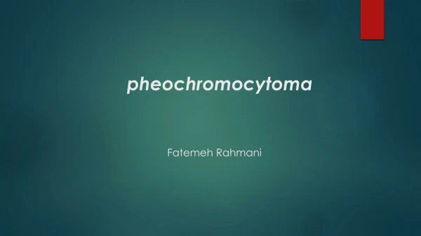 pheochromocytoma Fatemeh Rahmani